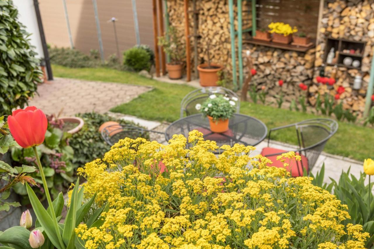 Haus Schneider Apartment เครสส์บรอนน์ อัม โบเดนเซ ภายนอก รูปภาพ